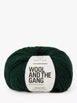 Wool And The Gang Alpachino Merino Chunky Yarn, 100g