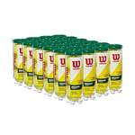 Wilson Championship Regular Duty Tennis Ball Case - 72 Balls, yellow