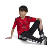Adidas Fc Bayern Munich 24/25 Junior Home Short Sleeve T-shirt Red 7-8 Years