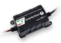 Everactive batteriladdare - CBC-1 - Bil-laddare CBC1 6V/12V