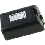 Batterie pour aspirateur Hoover