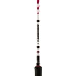 Penn Squadron II Jig Rod