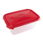 Food Storage Conatiners with Lids Set of 4 Lunch Boxes for Adults Fridge Freezer