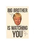 Wee Blue Coo Donald Trump Big Brother Colour 1984 Orwell Wall Art Print