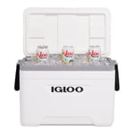 Igloo Marin 25QT Kylbox