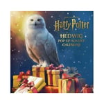 Harry Potter: Hedwig Pop-up Advent Calendar (bok, eng)