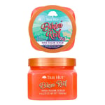 Tree Hut Shea Sugar Scrub Bikini Reef 510 g