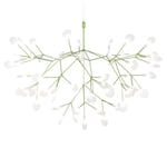 Moooi Heracleum III Large taklampa grön