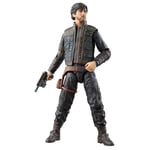 Star Wars The Black Series Cassian Andor, Star Wars: Andor Collectib (US IMPORT)