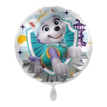 1 Ballon décoratif ALU Everest cool Pat Patrouille à gonfler hélium env 43cm