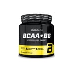 BioTech USA - BCAA+B6, 340 tablets