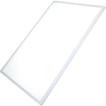 Clayette, étagère en verre 460x320 mm (40040047) Réfrigérateur, congélateur Proline tecnolec