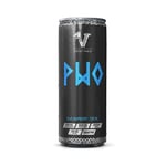 24 x PWO Dyck - 330 ml - Blue Raspberry - Viking Power PWO - Citrullinmalat, Beta-alanin, Koffein, Energidryck