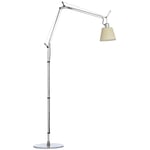 Tolomeo Basculante Gulvlampe, Parchment, Natural