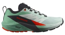 Salomon Sense Ride 5 - femme - vert