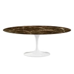 Knoll - Saarinen Oval Table - Matbord, 198 x 121 cm, Vitt underrede, skiva i glansig brun Emperador marmor - Spisebord - Eero Saarinen - Brun - Metall/Stein