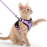 rabbitgoo Harnais Chat Anti évasion avec Laisse Violet Clair XXS, Harnais Chaton Petit Chien Réglable, Collier Harnais et Laisses pour Chat Refléchissant Attache Dessus Gilet Respirant pour Chiot