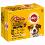 Pedigree Adult Pouch Multipack - Ekonomipack: Poultry Mix i sås 48 x 100 g