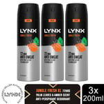 Lynx XL Anti-Perspirant 72-Hour Sweat Protection Deodorant 200ml, 3 or 6 Pack