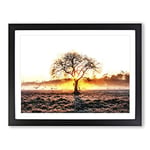 Sunlight Through The Oak Tree In Abstract Modern Art Framed Wall Art Print, Ready to Hang Picture for Living Room Bedroom Home Office Décor, Black A3 (46 x 34 cm)