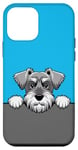 Coque pour iPhone 12 mini Chiot Schnauzer miniature mignon qui regarde un chien schnauzer drôle