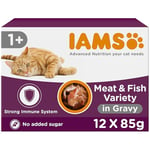 IAMS Delights Complete Wet Cat Food for Adult 1+ Cats Meat and Fish Variety in Gravy Multipack 12 x 85 g Pouches