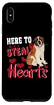 iPhone XS Max Here To Steal Hearts Funny St Bernard Dog Valentines Day Case