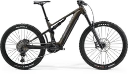 Merida El MTB Eone-Sixty 875 Gold/Grey