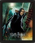 Harry Potter 3D Lenticular Poster of Deathly Hallows Snape 25cm x 20cm x 1.3cm i