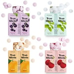 True Mints Mixed Flavours (12-pack) - Sugar Free Mints - Xylitol Mints - Fruit Pastilles - Sugar Free & Plantbased Travel Sweets with Natural Flavours