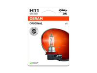 Osram 4062172395229 Halogenljuskälla Standard H11 55 W 12 V