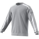 adidas Homme Sweat-Shirt À Capuche Sq21 SW Top, Tmlggr, GT6640, S