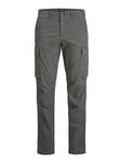 JACK & JONES Pantalon Cargo Pantalon Cargo Tapered Fit Sedona Sage 32 32 Sedona Sage (US) 32 / L32