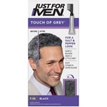 Just for men Touch of Grey, Black Hair Dye for a Natural Salt & Pepper Look, T55