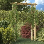 Maisonchic - Arche de jardin Arche pour rosiers 150 x 50 x 200 cm Bois imprégné 20576