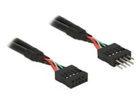 Delock USB 2.0 Pin Header - USB-internkabel - 10-pins USB-kontakt til 10-pins USB-kontakt - 50 cm