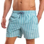 RIPT Essentials Mens Stripe Swim Shorts - L