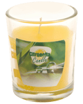 Citronella myggljus glas