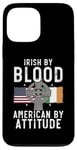 iPhone 13 Pro Max Dual Heritage Mixed Country USA Ireland Irish American Case