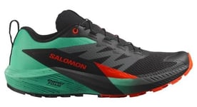 Salomon Sense Ride 5 - homme - noir