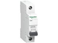 Schneider Electric A9k02116, Dvärgbrytare, Typ C, 6000 A, Ip20