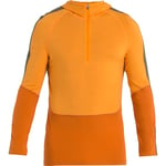 Icebreaker Merino 200 Sonebula LS Half Zip M