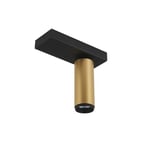 Vevstol Design X-Beam Single Spot Gold/ Sort