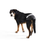 Savic Comfort Nappy Hundebleie (5)