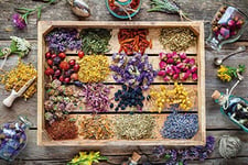 Schatzmix Plaque métallique décorative en tôle avec Herbes séchées sur Table en Bois - 20 x 30 cm - Multicolore - 20 x 30 cm