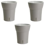 Lot de 3 pots pour orchidées avec réserve d'eau - Dali-dea gris clair 2 litres