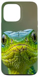 iPhone 13 Pro Max green snake eyes Case