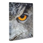 Eye Of An Owl Painting Modern Canvas Wall Art Print Ready to Hang, Framed Picture for Living Room Bedroom Home Office Décor, 20x14 Inch (50x35 cm)