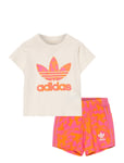 Short Tee Set Beige Adidas Originals