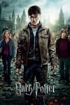 Empire 398352 Poster Harry Potter et Les Reliques de la Mort 61 x 91,5 cm